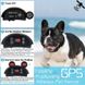GPS електронний паркан для собак - електронашийник Dog Fence EF851S, радіус 20 - 800 метрів, вплив електрошоком