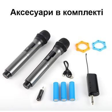 Комплект из 2х беспроводных профессиональных микрофонов с приёмником Nectronix WM-2 UHF, до 20 метров
