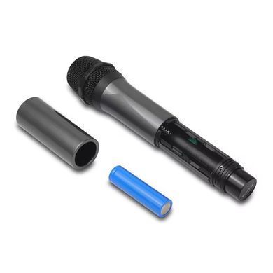 Комплект из 2х беспроводных профессиональных микрофонов с приёмником Nectronix WM-2 UHF, до 20 метров