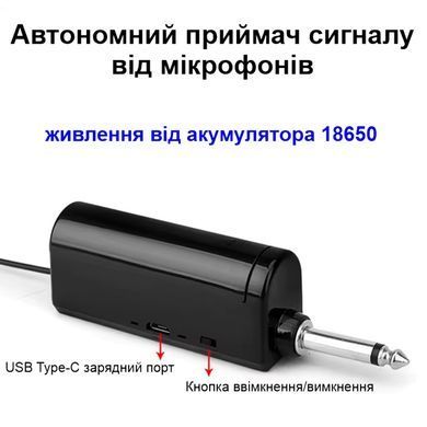 Комплект из 2х беспроводных профессиональных микрофонов с приёмником Nectronix WM-2 UHF, до 20 метров